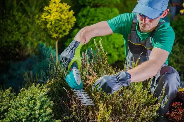 landscaping services Hessmer